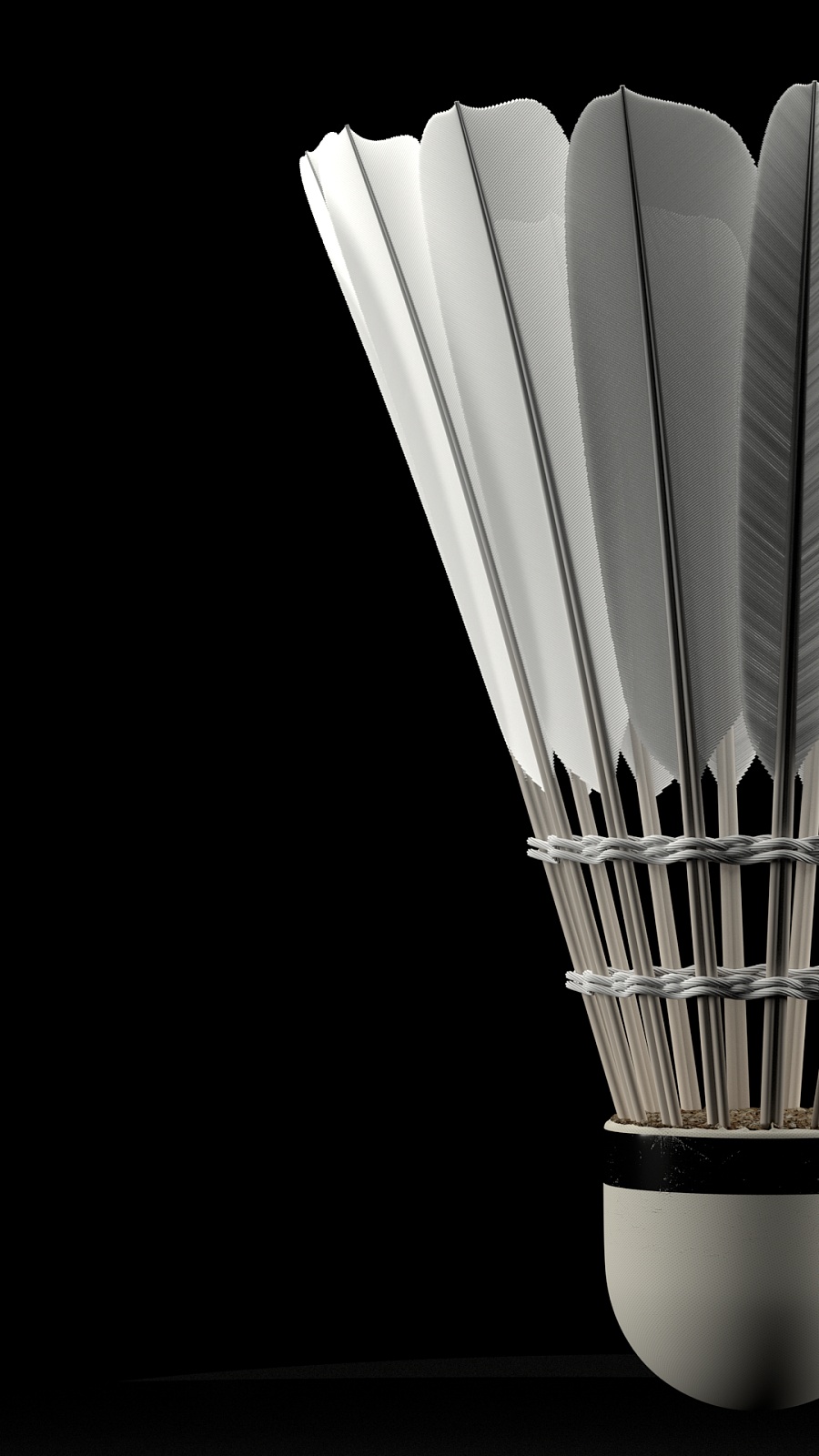 证明自我的 证明自我的